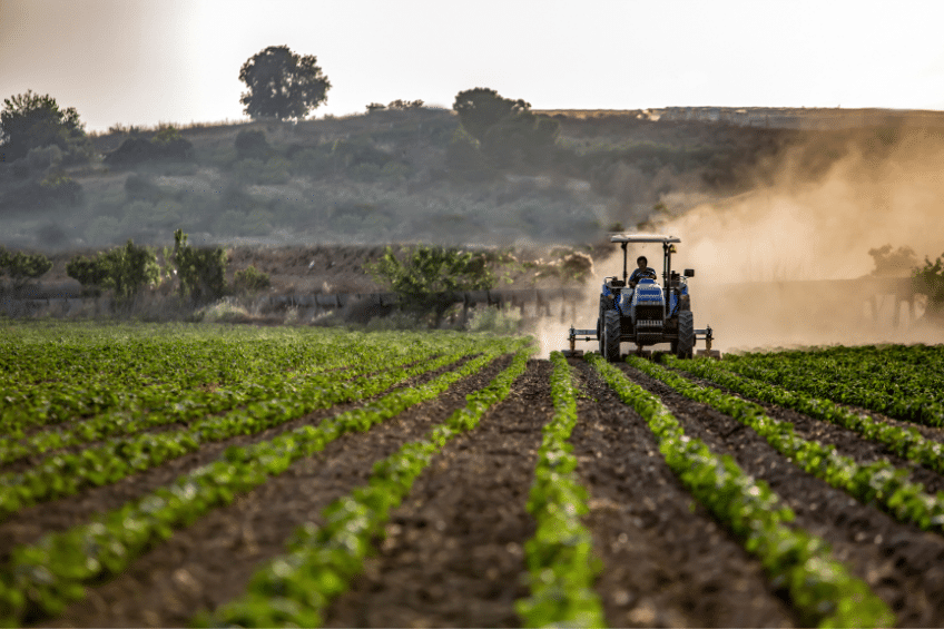 InCampo - Software Aziende agricole